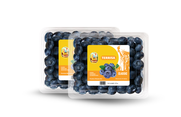 TERRISA Classic U.S.A. Blueberries 125 g