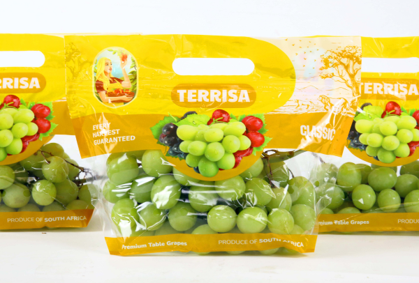 TERRISA Clasic South African Green Grapes