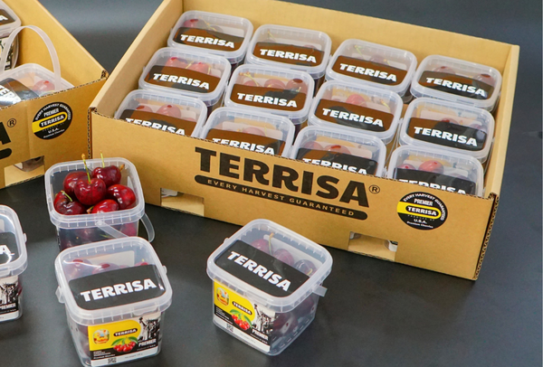 TERRISA Premier U.S.A. Cherries
