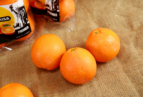TERRISA Premier U.S.A. Oranges