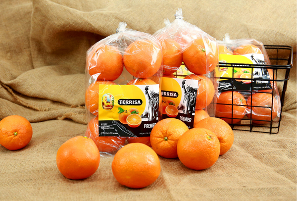 TERRISA Premier U.S.A. Oranges