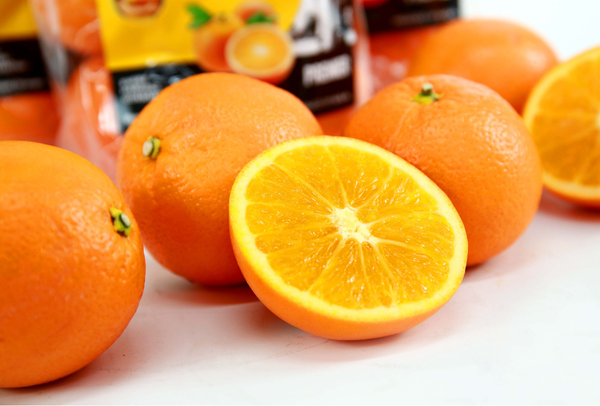 TERRISA Premier U.S.A. Oranges