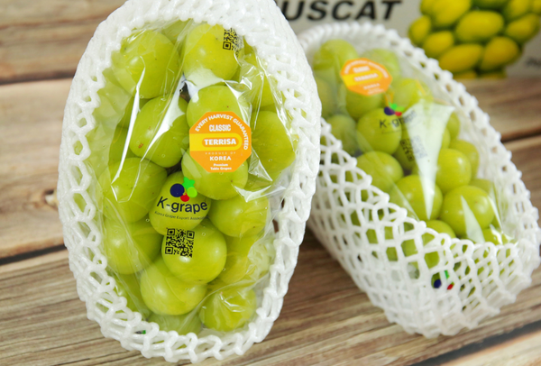 TERRISA Classic Shine Muscat Korean Grapes