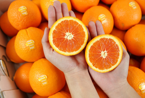 TERRISA Special Cara Cara Australian Oranges