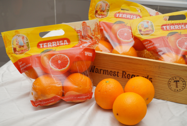 TERRISA Special Cara Cara Australian Oranges