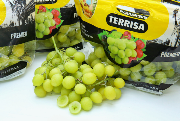 TERRISA Premier U.S.A. Green Grapes