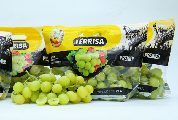 TERRISA Premier U.S.A. Green Grapes