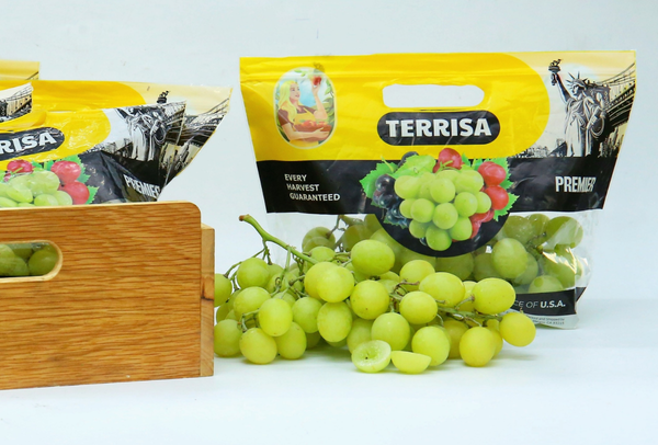 TERRISA Premier U.S.A. Green Grapes