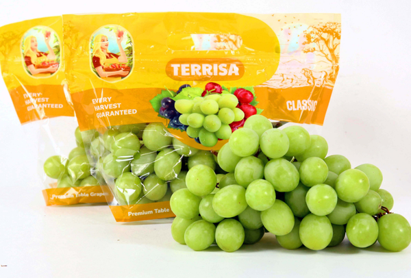 TERRISA Clasic South African Green Grapes