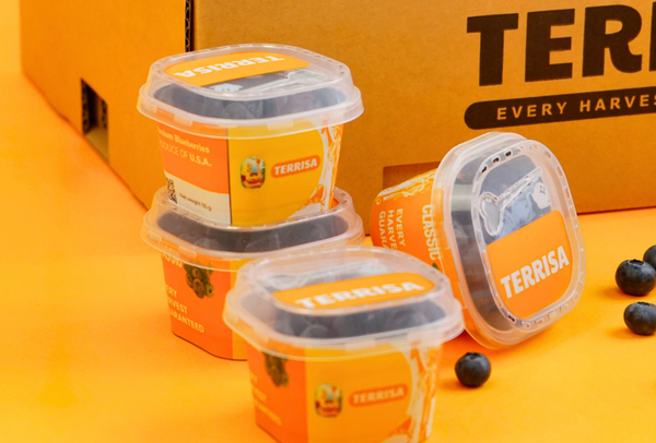 TERRISA Classic U.S.A. Blueberries