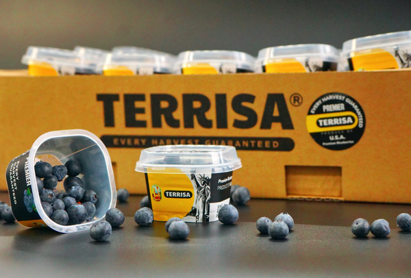 TERRISA Premier U.S.A. Blueberries