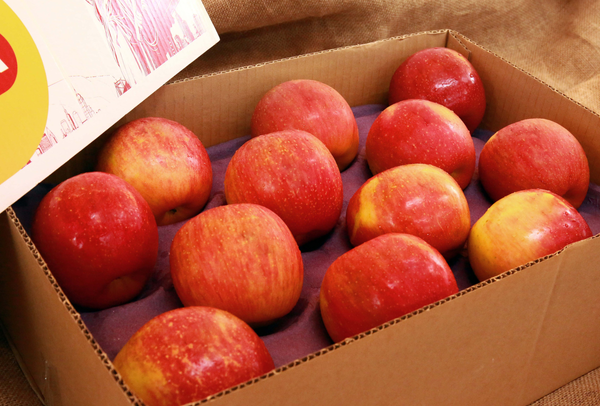 TERRISA Special EverCrisp U.S.A. Apples