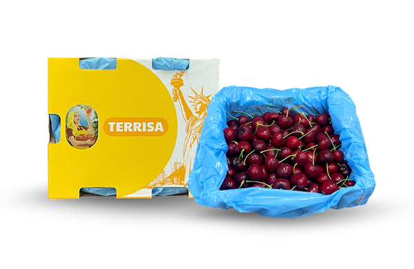 Cherry Mỹ TERRISA Classic 2.5 kg