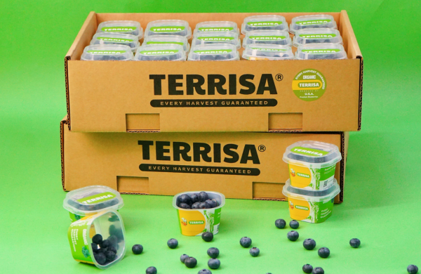 TERRISA Organic U.S.A. Blueberries