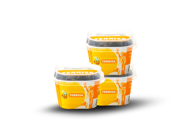TERRISA Classic U.S.A. Blueberries