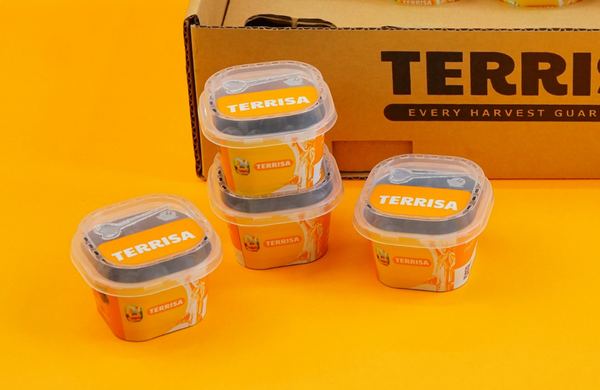 TERRISA Classic U.S.A. Blueberries