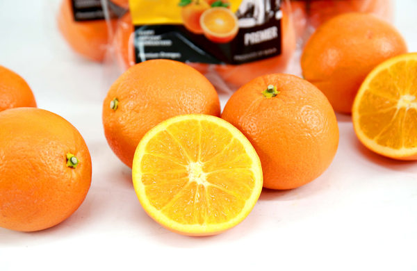 TERRISA Premier U.S.A. Oranges