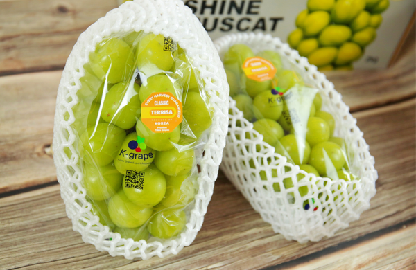 TERRISA Classic Shine Muscat Korean Grapes
