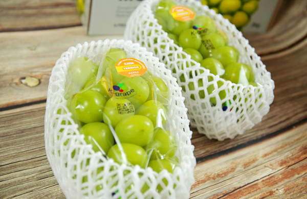 TERRISA Classic Shine Muscat Korean Grapes