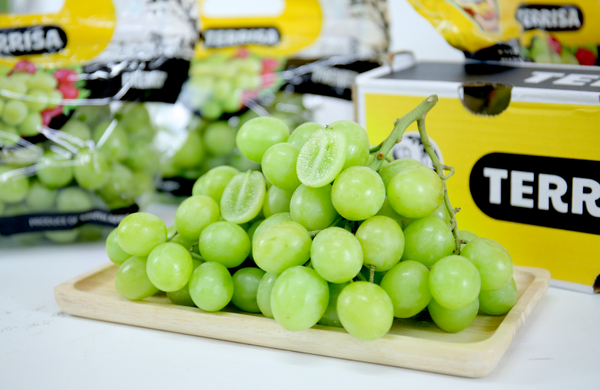 TERRISA Premier South African Green Grapes
