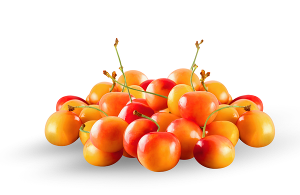 Cherry Vàng