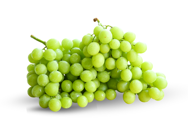 Autumn Crisp Grape