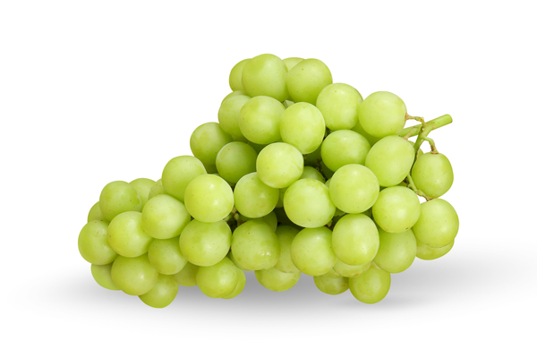 Ivory Grape