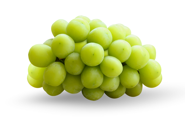 Shine Muscat Grape