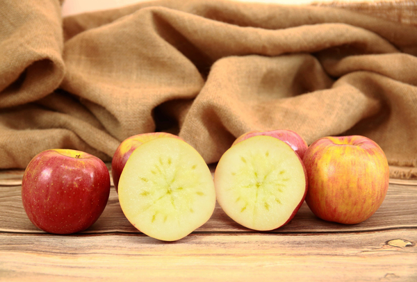 TERRISA Special EverCrisp U.S.A. Apples