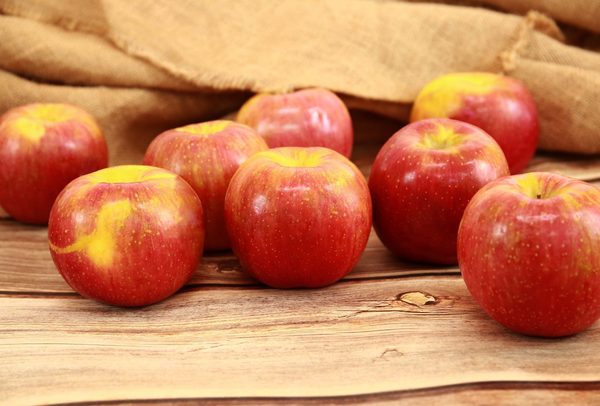 TERRISA Special EverCrisp U.S.A. Apples
