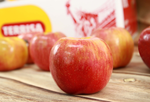 TERRISA Special EverCrisp U.S.A. Apples