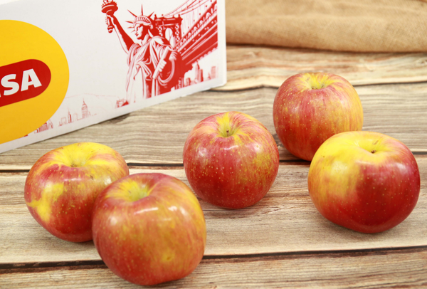 TERRISA Special EverCrisp U.S.A. Apples