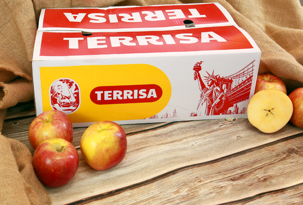 TERRISA Special EverCrisp U.S.A. Apples