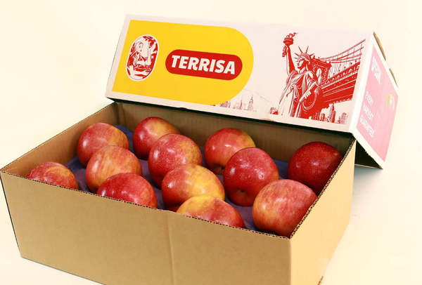 TERRISA Special EverCrisp U.S.A. Apples