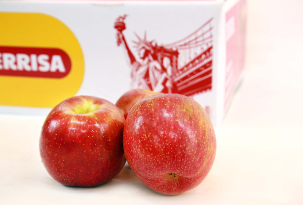 TERRISA Special EverCrisp U.S.A. Apples