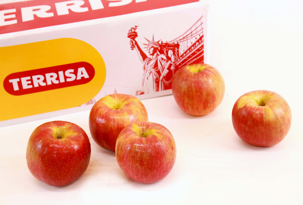 TERRISA Special EverCrisp U.S.A. Apples