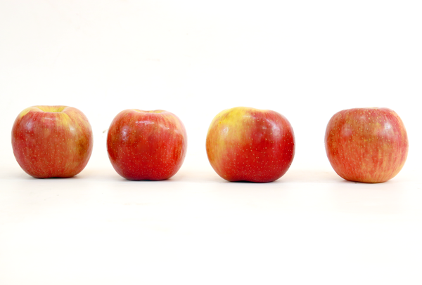 TERRISA Special EverCrisp U.S.A. Apples