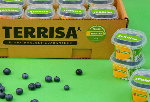 TERRISA Organic U.S.A. Blueberries