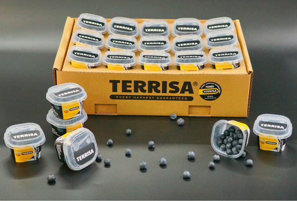 TERRISA Premier U.S.A. Blueberries