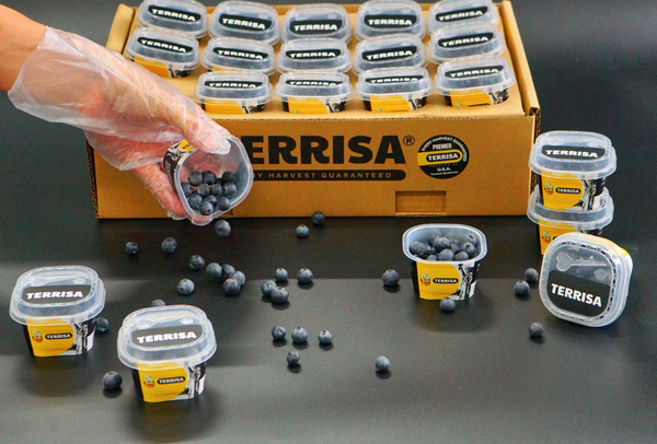 TERRISA Premier U.S.A. Blueberries
