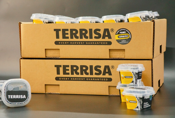 TERRISA Premier U.S.A. Blueberries