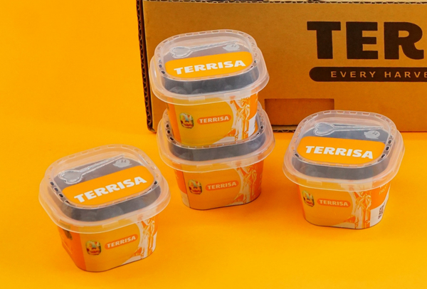 TERRISA Classic U.S.A. Blueberries
