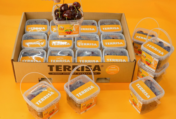 TERRISA Classic U.S.A. Cherries