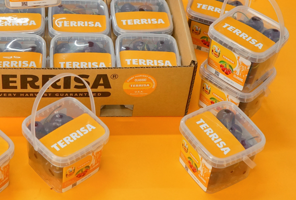 TERRISA Classic U.S.A. Cherries