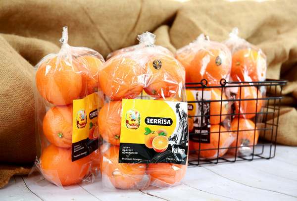 TERRISA Premier U.S.A. Oranges