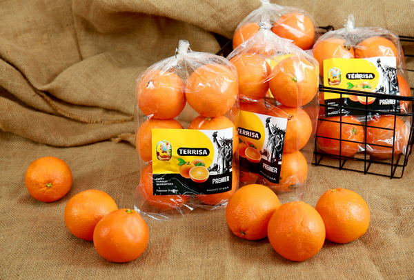 TERRISA Premier U.S.A. Oranges
