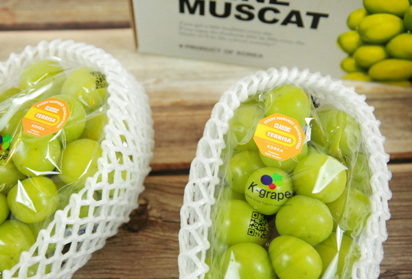 TERRISA Classic Shine Muscat Korean Grapes