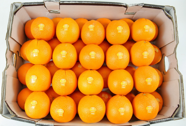 TERRISA Special Cara Cara Australian Oranges