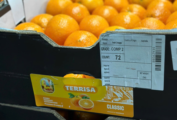 Cam Úc TERRISA Classic
