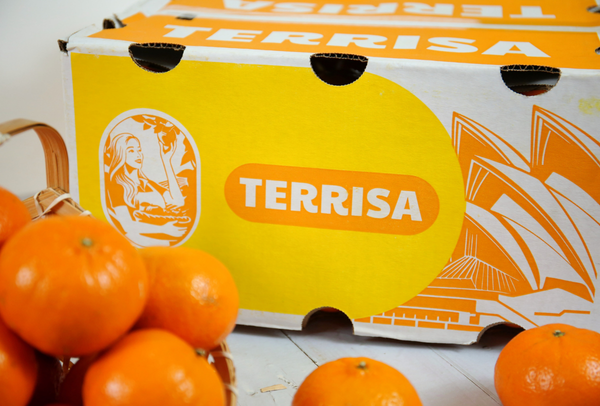 TERRISA Classic Australian Mandarins
